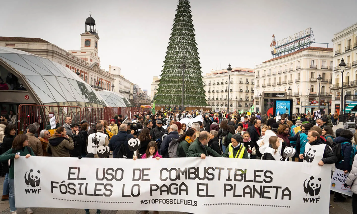 WWF és una de les organitzacions ambientals que està seguint molt de prop la COP28 de Dubai.
