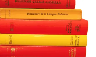 Llibres formant la bandera catalana