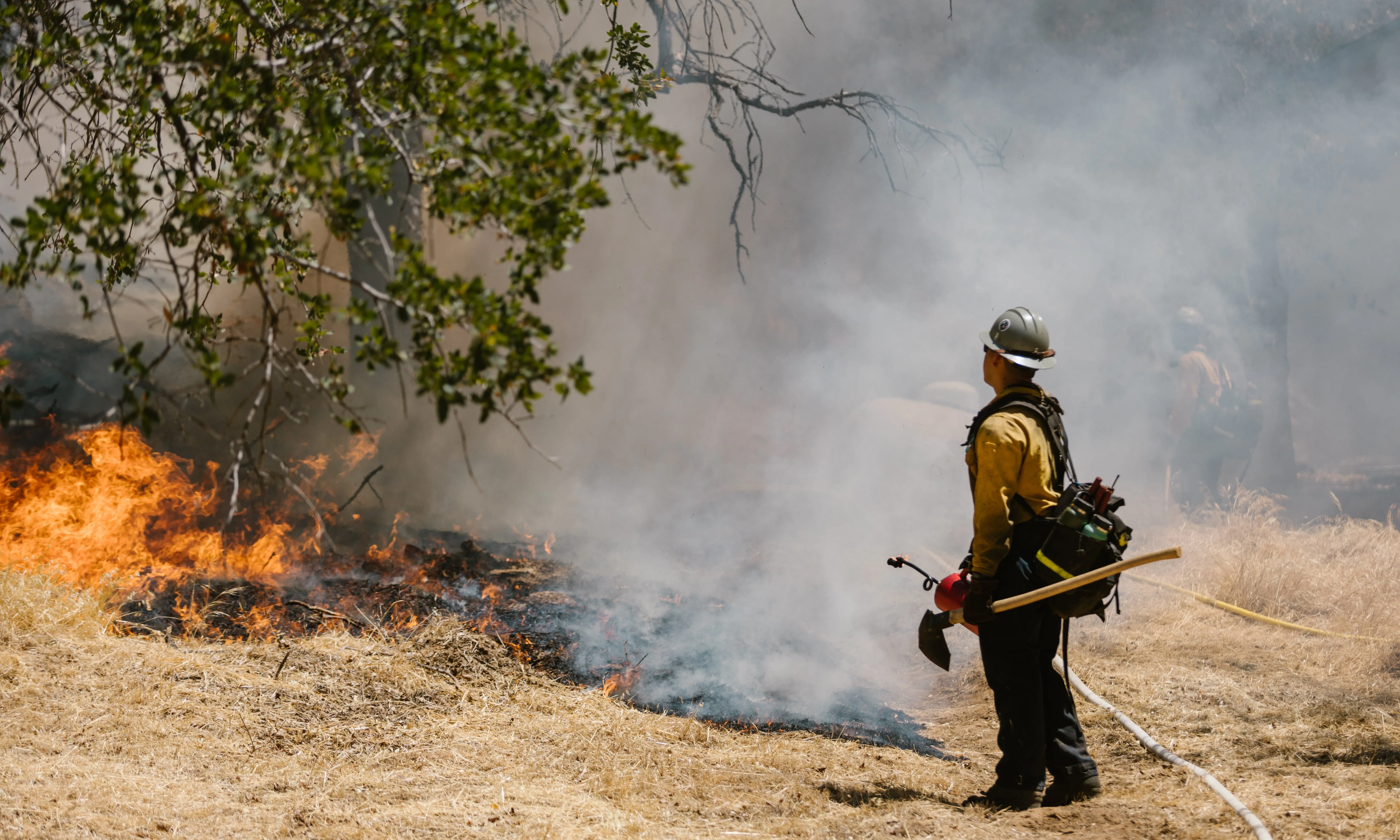 Control de foc forestal. Font: Pexels - RDNE Stock project