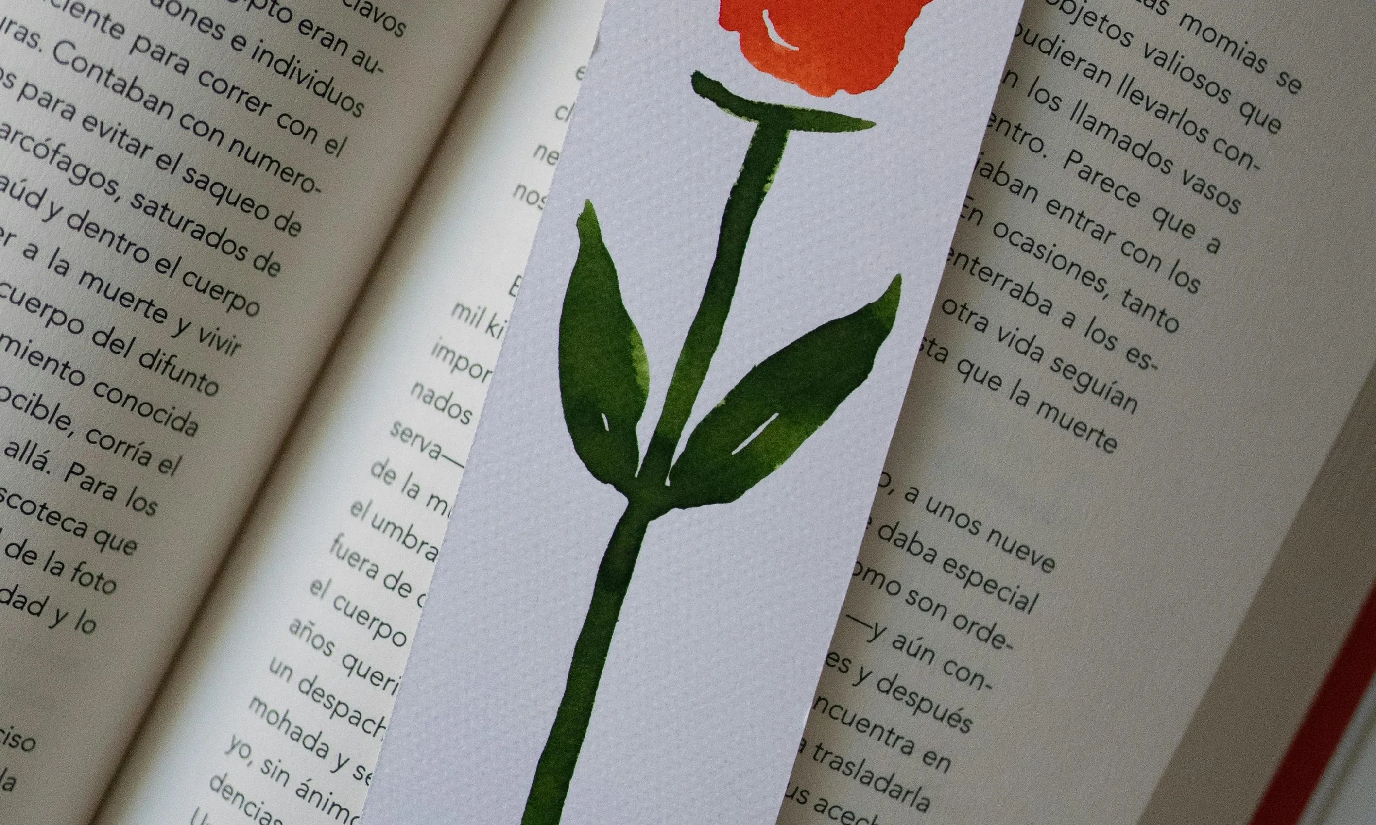 LLibre amb punt de llibre de rosa. Font: 