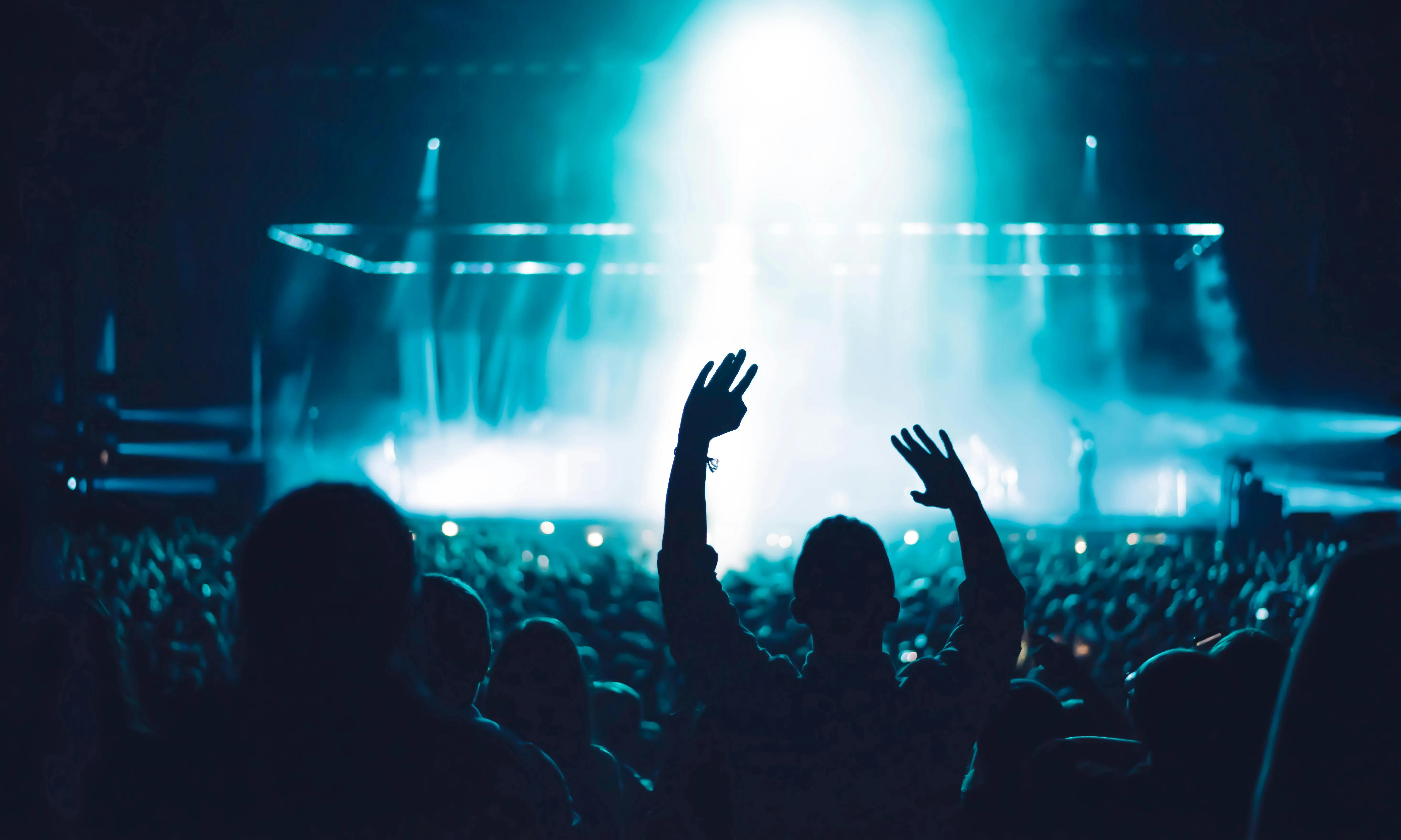 Públic d'un festival