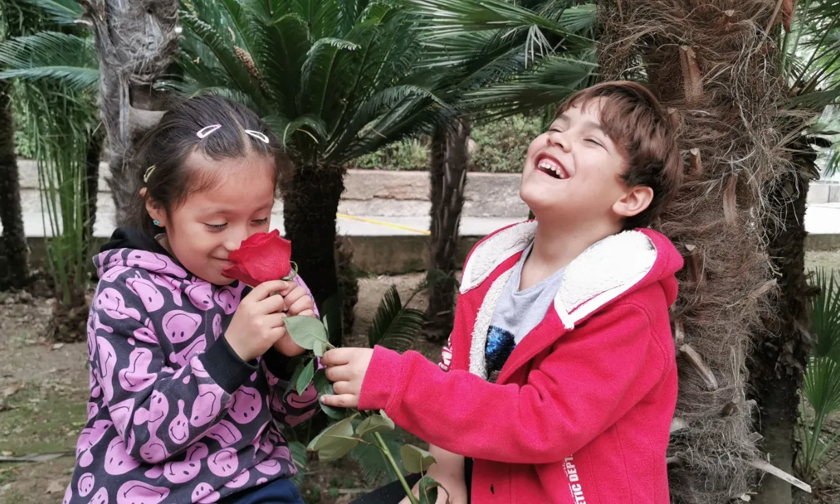 La Fundació Magone ven roses solidària per combatre la pobresa infantil i juvenil.