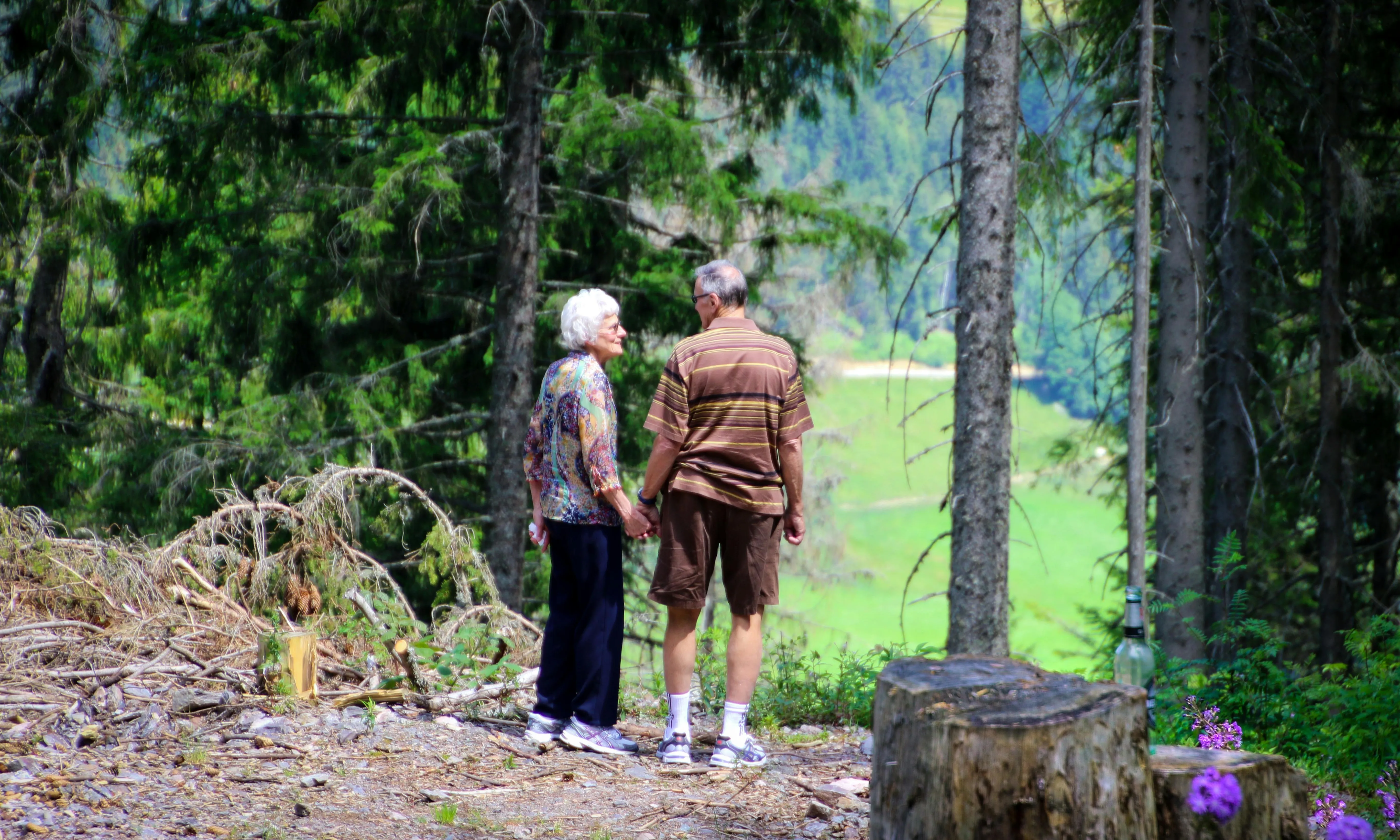 Gent gran caminant per un bosc. Font: Pexels - Magda Ehlers Gent gran caminant per un bosc. Font: Pexels - Magda Ehlers