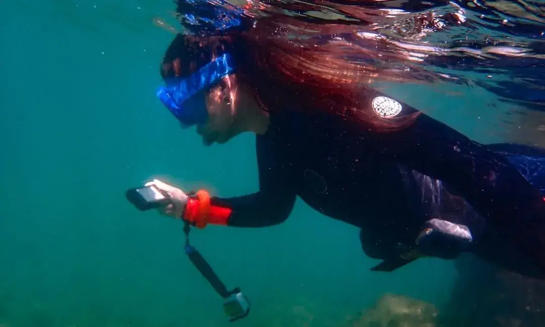 UrbamarBio’ és un projecte de ciència ciutadana per registrar la biodiversitat marina present al litoral de barceloní.