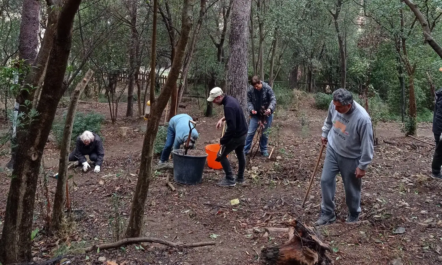 Aula Ambiental Bosc Turull