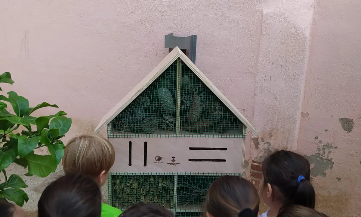 Hotel d'insectes construit en el marc del projecte.