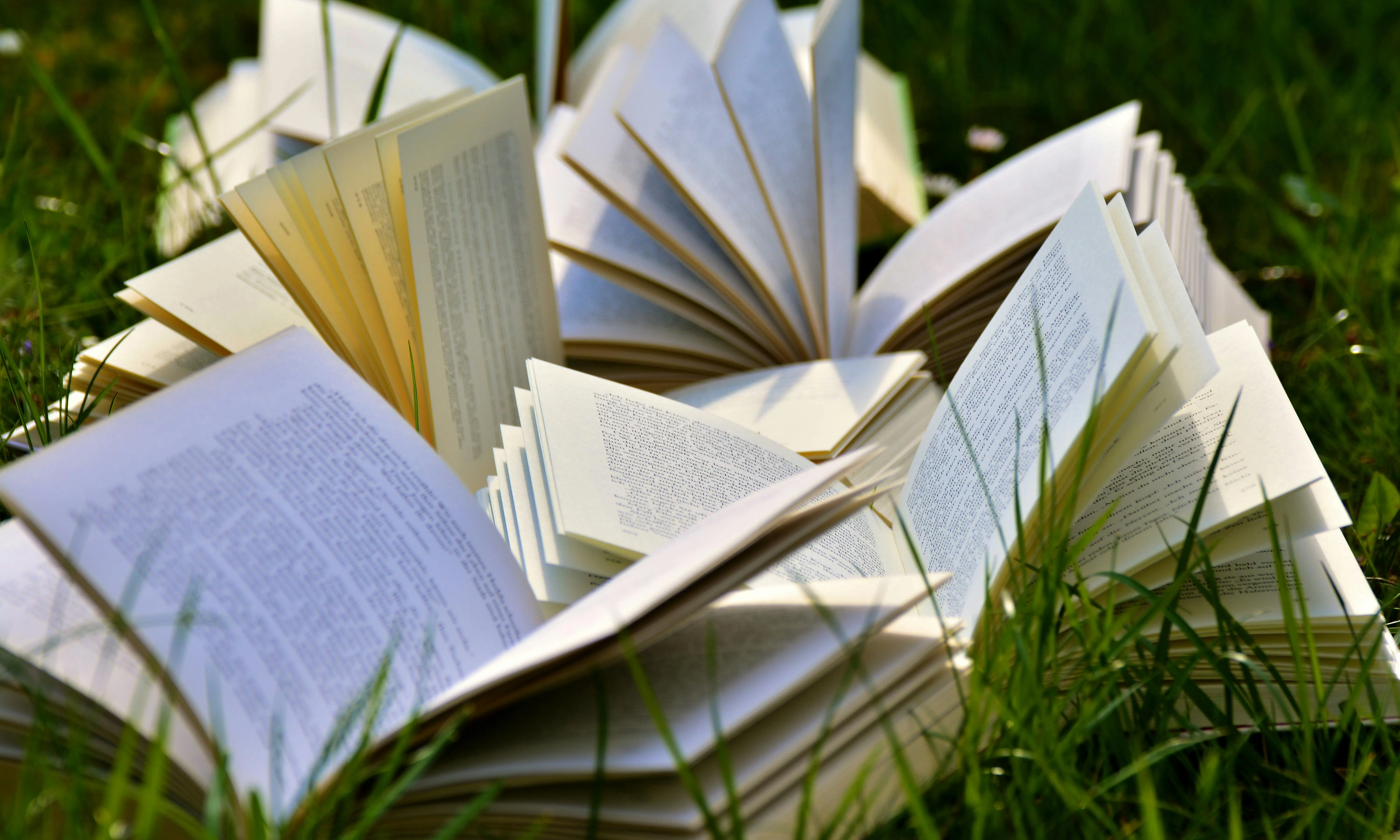 Llibres sobre un camp de gespa. Font: Pixabay