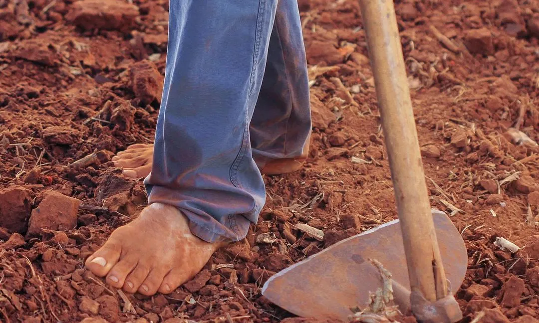 ‘Terra Pagesa’ es descriu com una iniciativa de comercialització i consum de productes de proximitat, locals i de temporada provinents de la petita i mitjana pagesia.