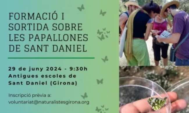 Fragment del cartell de la formació i sortida sobre les papallones de Sant Daniel