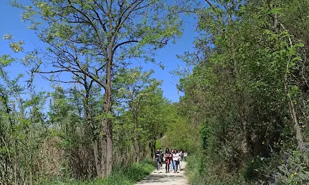 La iniciació al món del lleure educatiu