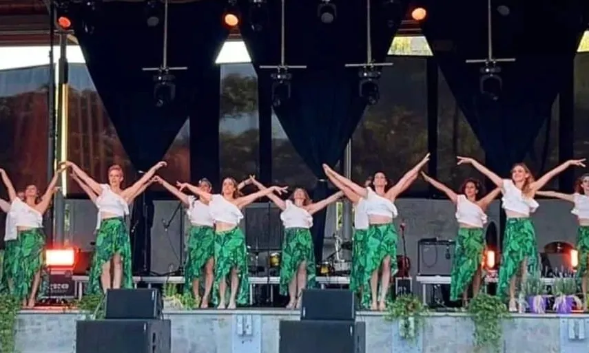 Una de les actuacions de l'edició anterior del Festival de la Diversitat de Piera.