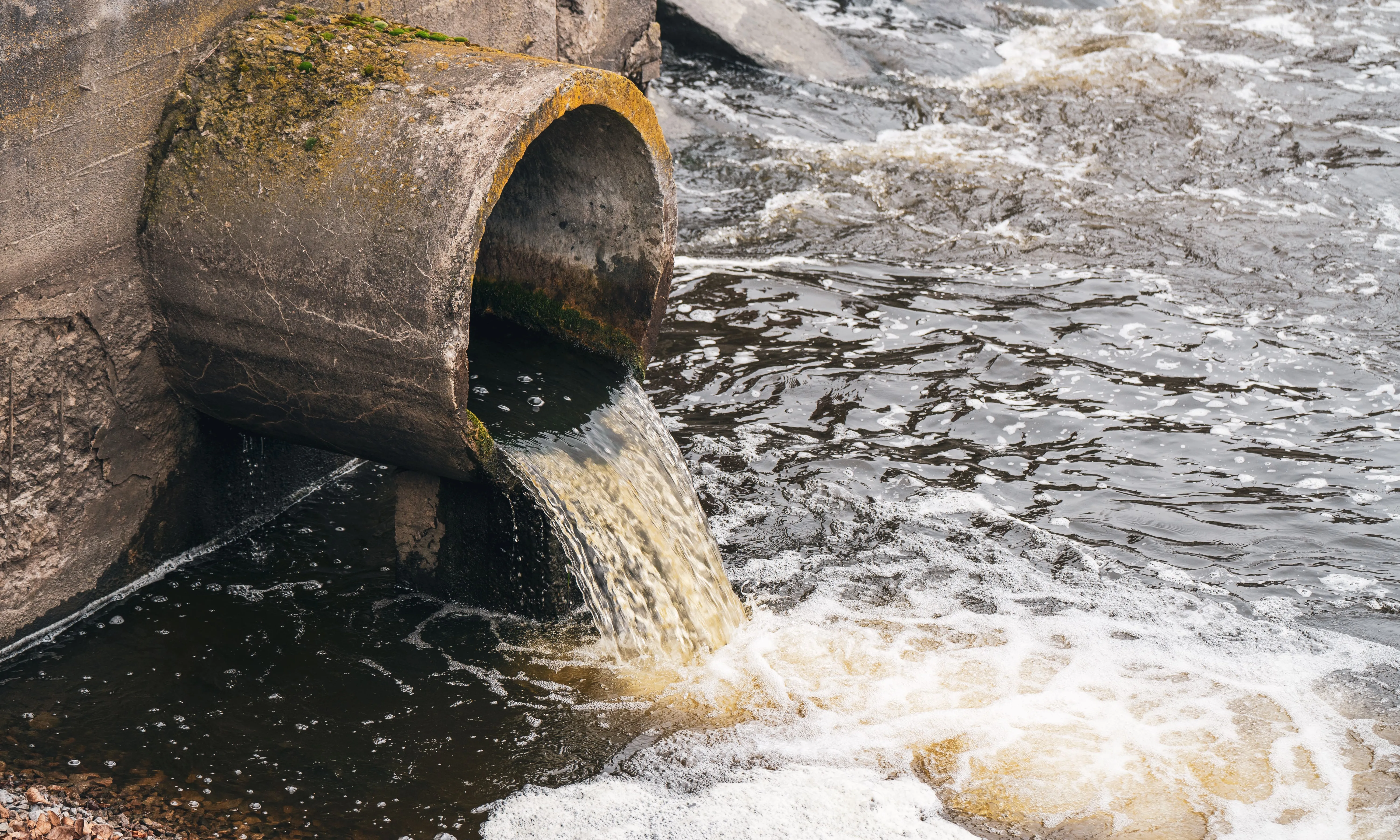L'agricultura industrial i els químics que utilitza també són una gran font de contaminació i de destrucció dels ecosistemes del país.