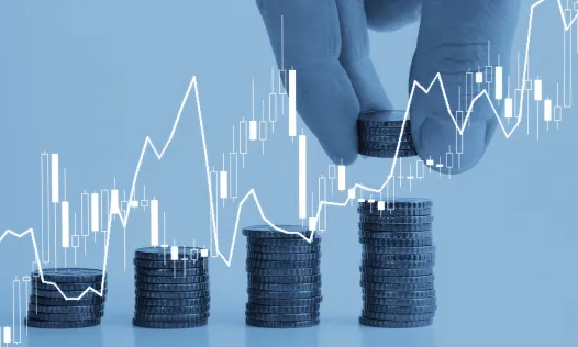 Les entitats sense ànim lucratiu han de complir amb determinades obligacions fiscals. Font: Canva.