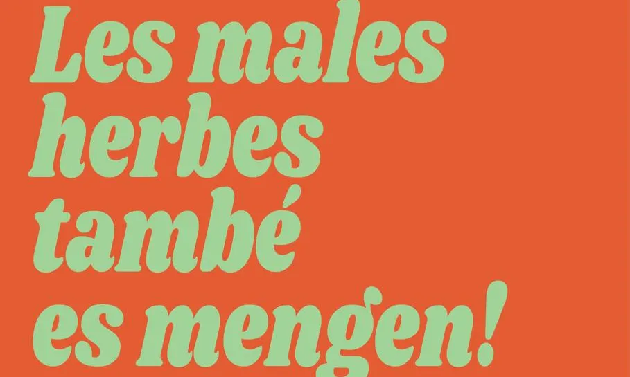 Jornades en les que coneixer les plantes que envolten les ciutats. Font: Eixarcolant.