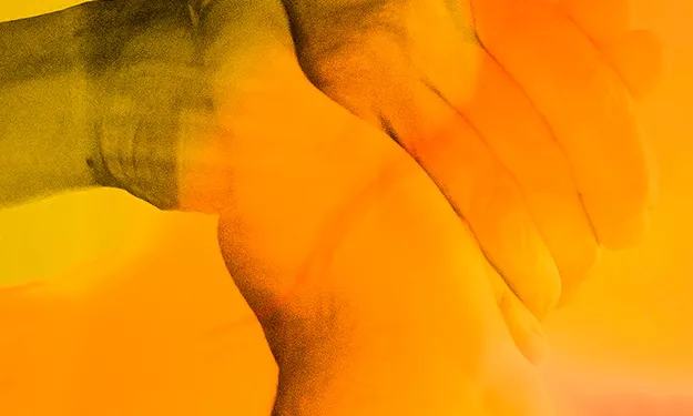 Imatge dels premis