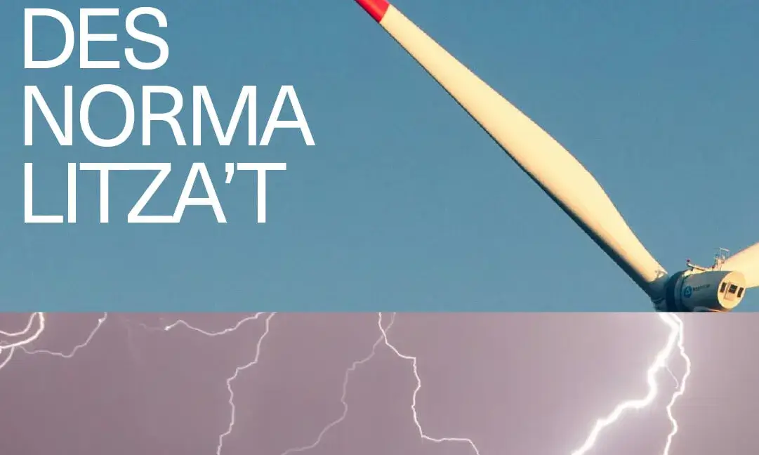 Cartell de Desnormalitza't 2024.