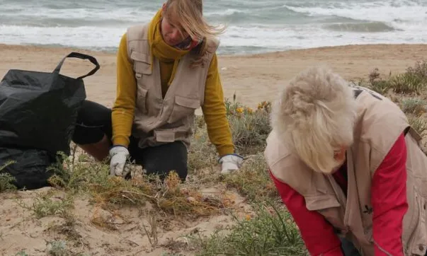 Foto de dues voluntàries treballant per retirar vegetació invasora a la platja