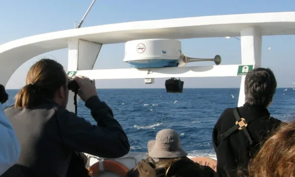 Sortida en barca 'Pescadors d'alçada'