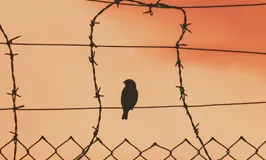 Experiències des de la quotidianitat. L'educador/a social al medi penitenciari