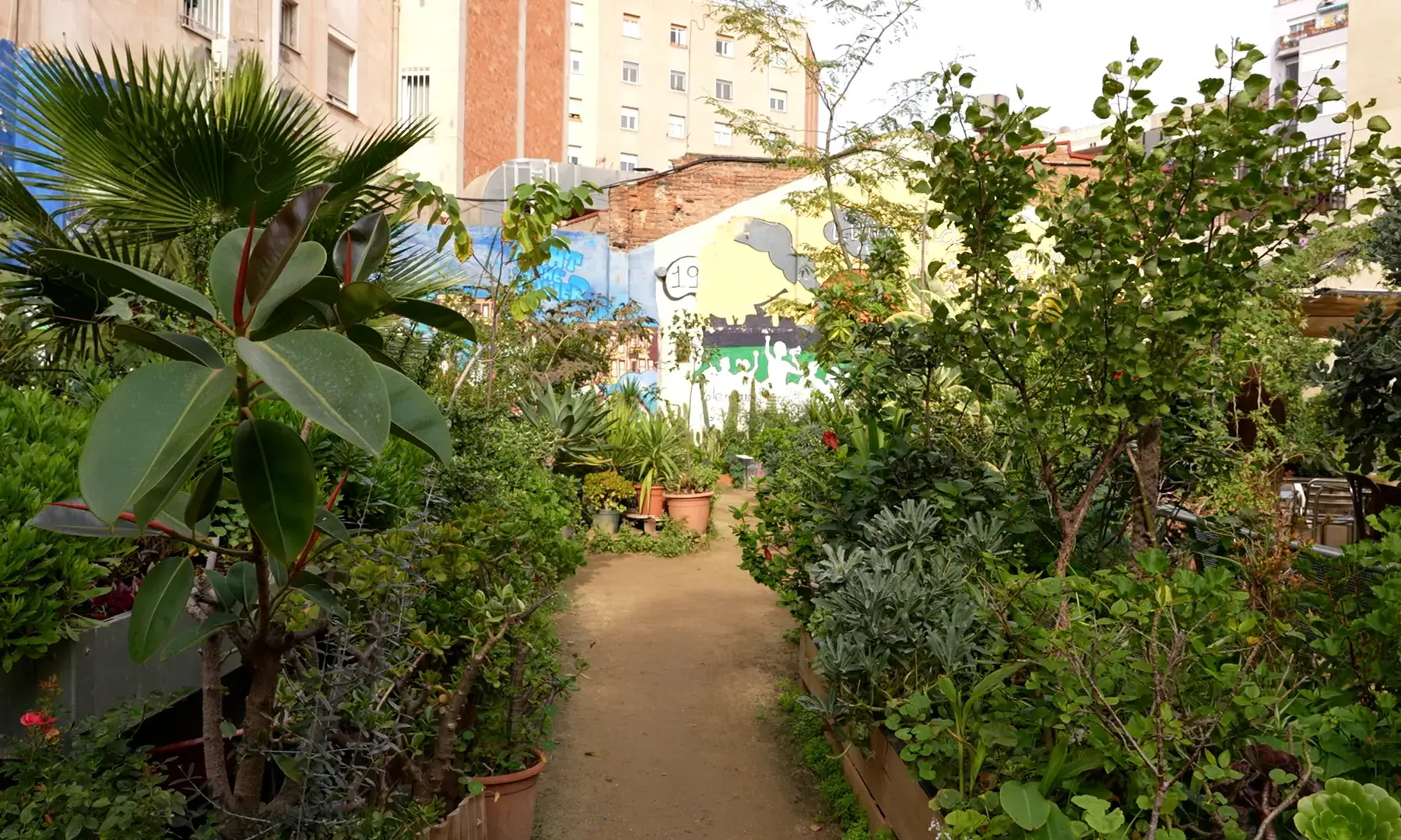 L'Espai Nur està situat a la cruïlla entre el carrer Consell de Cent i Calàbria, i és un pulmó verd per a la zona. Font: Marta Catena