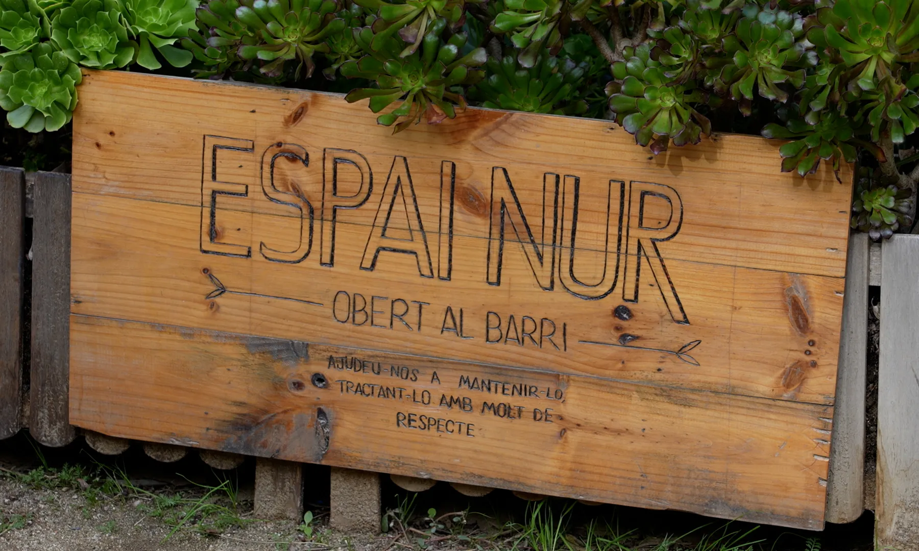 Les voluntàries organitzen un ampli ventall de tallers i activitats per a tots els públics que tracten temes culturals, d'educació ambiental i de música, entre d'altres. Font: Marta Catena