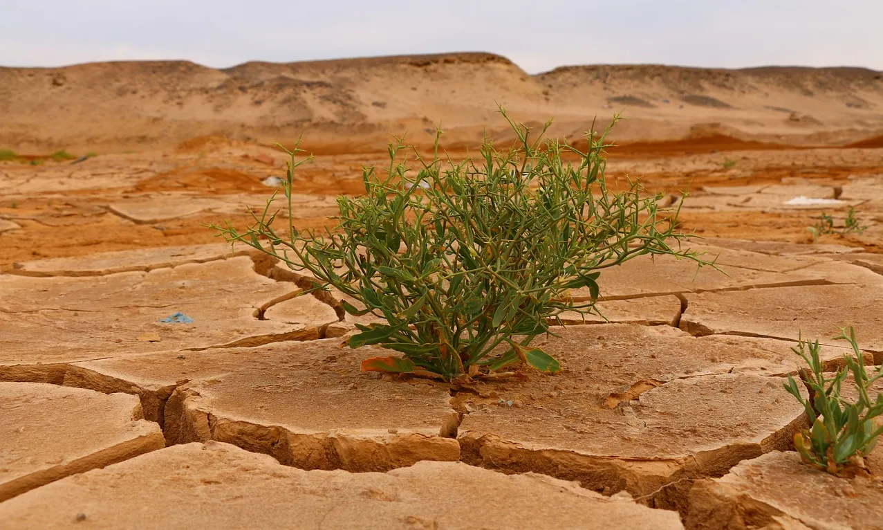 El temor a un nou fracàs ressona en una COP29 marcada pel debat sobre el finançament climàtic.