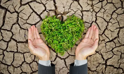 És important que el codi ètic sigui conegut per totes les persones que formen part de l'entitat.