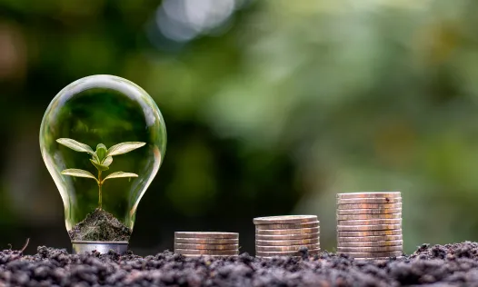 El 95% de les organitzacions enquestades considera que disposar d’ingressos estables és una preocupació fonamental.