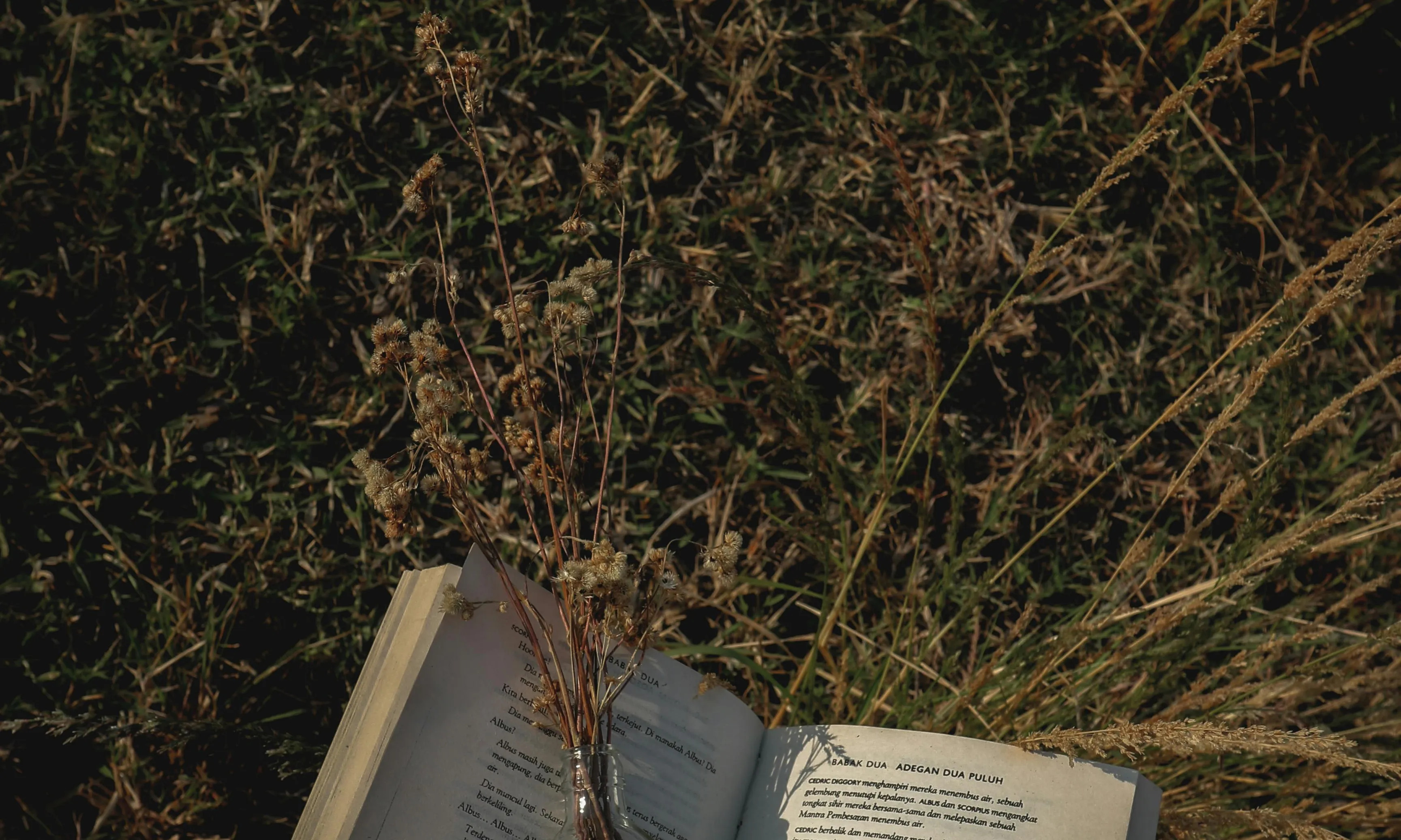 Llibre obert amb un ram de plantes, sobre un camp