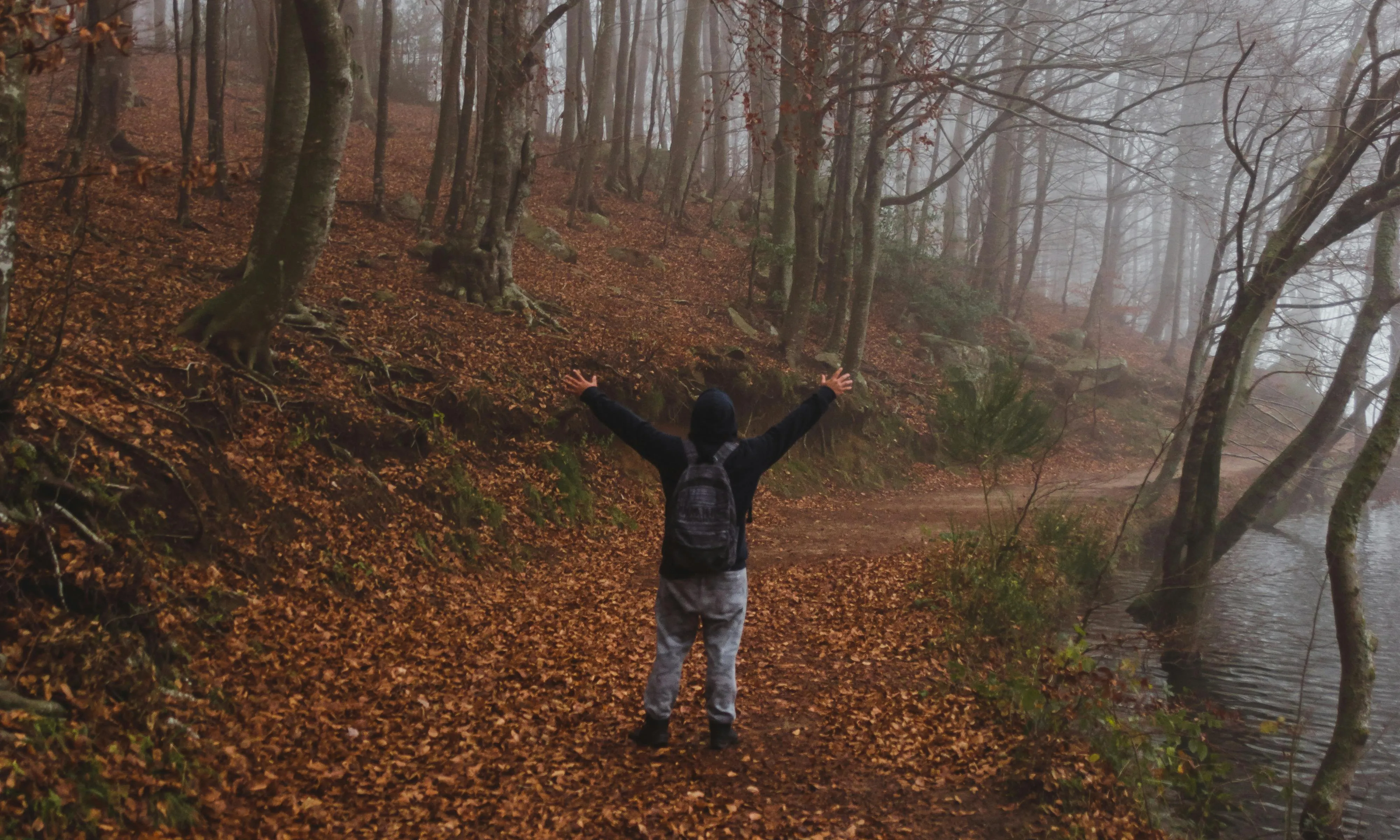 Persona gaudint al bosc la tardor Persona en un camí en un bosc amb fulles de tardor aixecant els braços