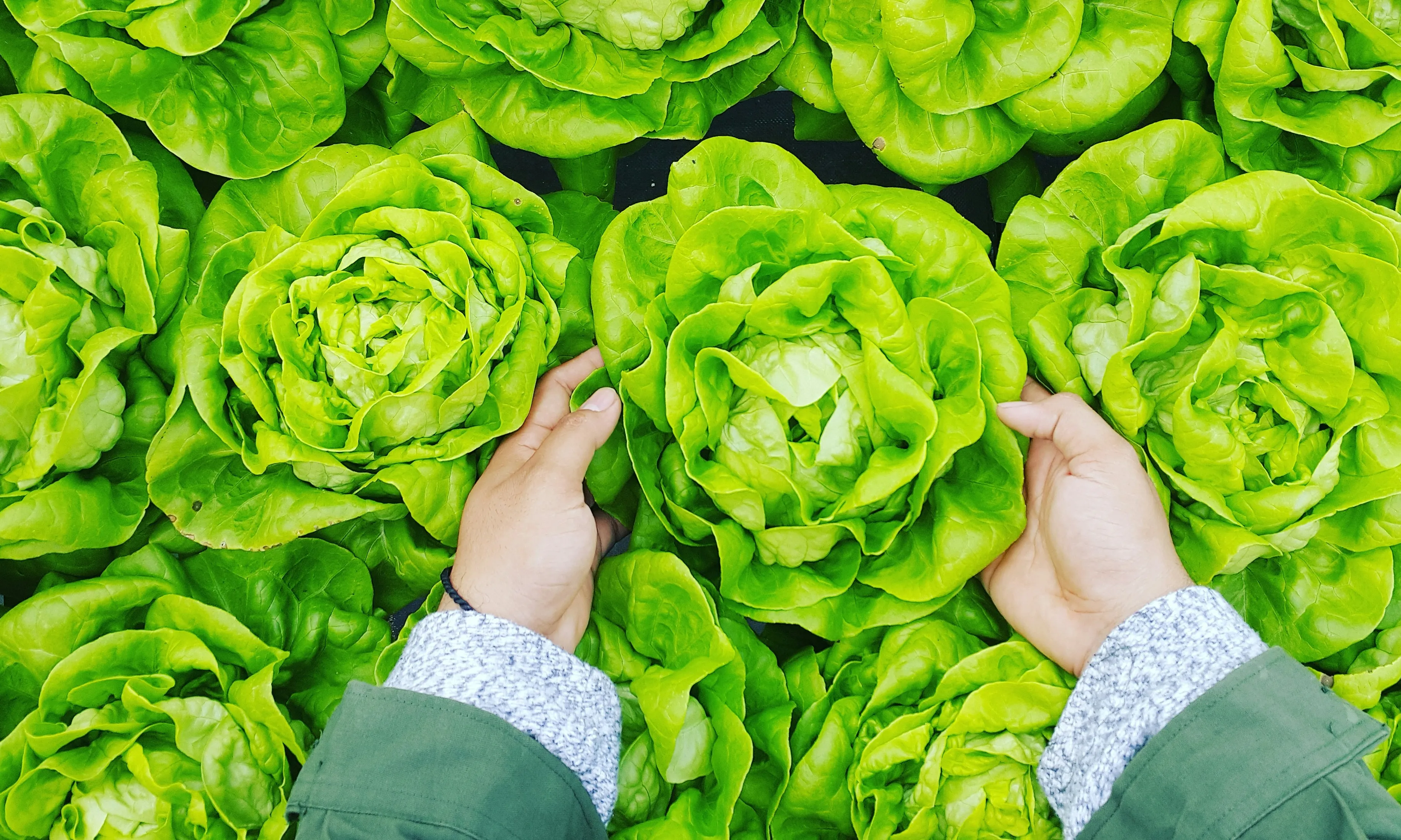 L'exposició 'Menja-Actua-Impacta' vol contribuir a un canvi de mentalitat individual i col·lectiva necessari per transformar l'actual sistema alimentari.