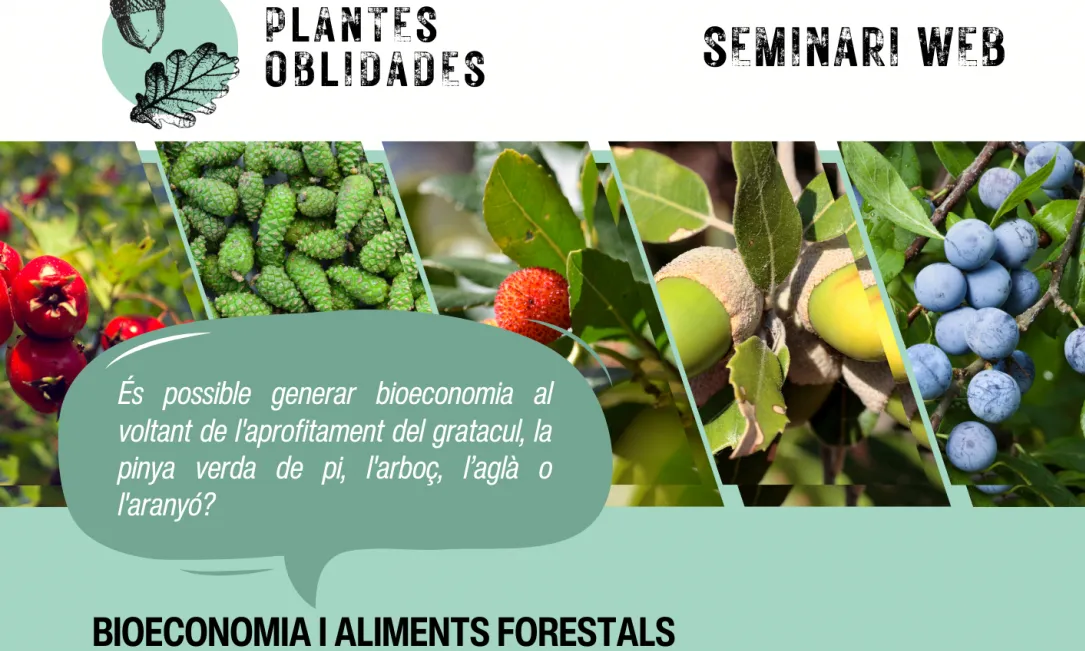 Cartell del seminari web 'Bioeconomia i aliments forestals'
