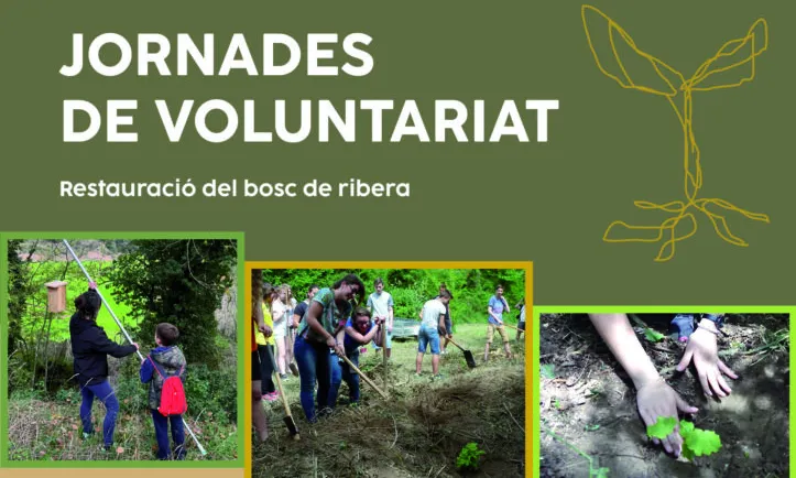 Fragment del cartell de la Restauració del bosc de ribera a la Riera Gavarresa i Torrent de la Torre