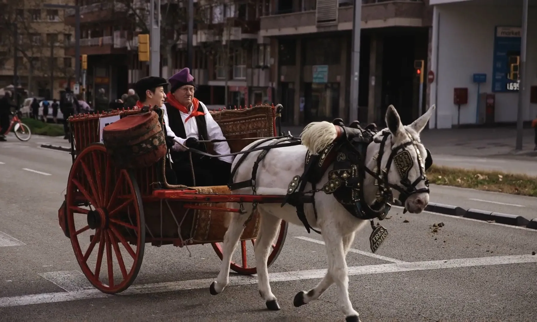 Catalunya disposa d'un gran patrimoni històric i cultural de carros i carruatges que es mostren a les cavalcades dels Tres Tombs.
