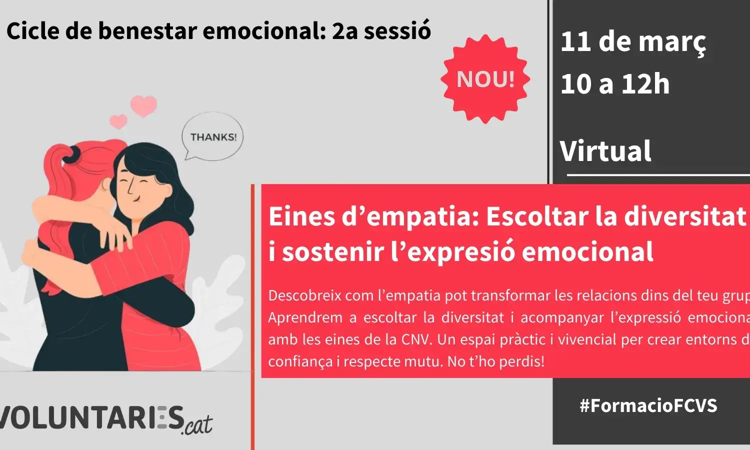 Cartell de la sessió organitzada per la FCVS