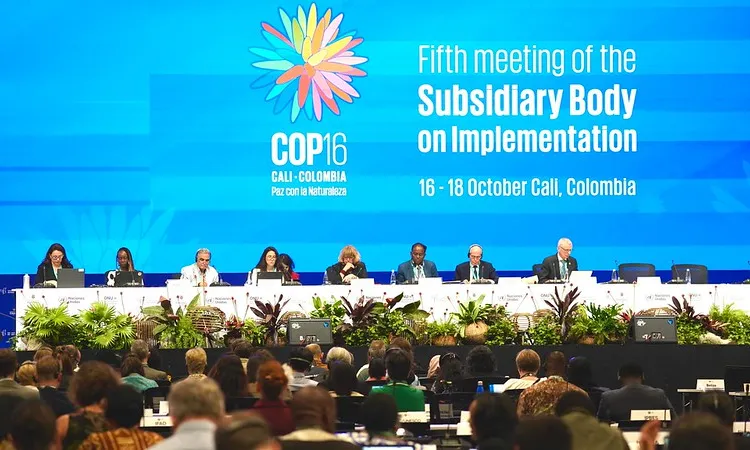 La COP16 de biodiversitat celebrada a Roma ha suposat un avenç important en el finançament de la conservació de la natura.