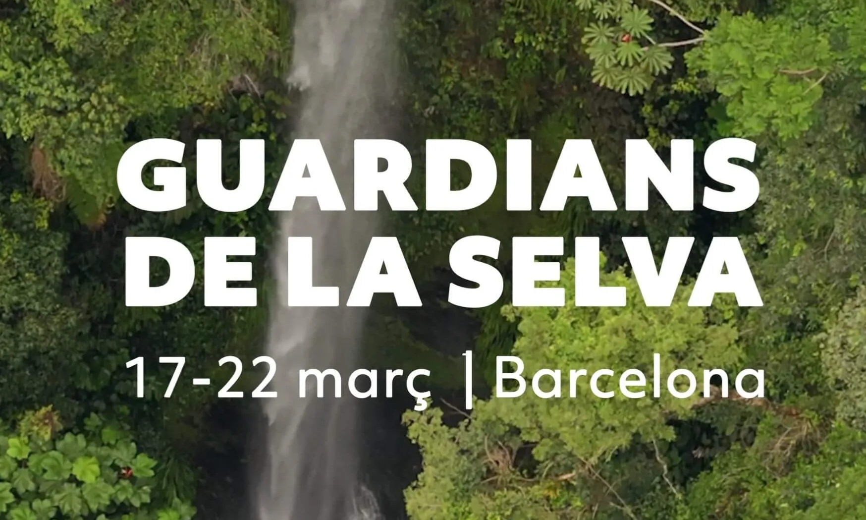 Cartell de la campanya 'Guardians de la selva'