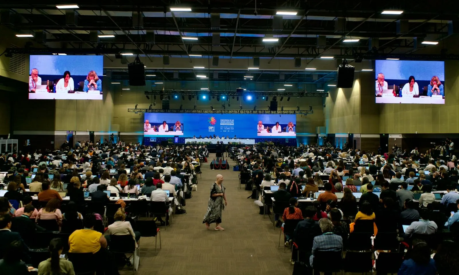 La trobada es va reprendre a Roma, després de fracassar la cimera de Cali.