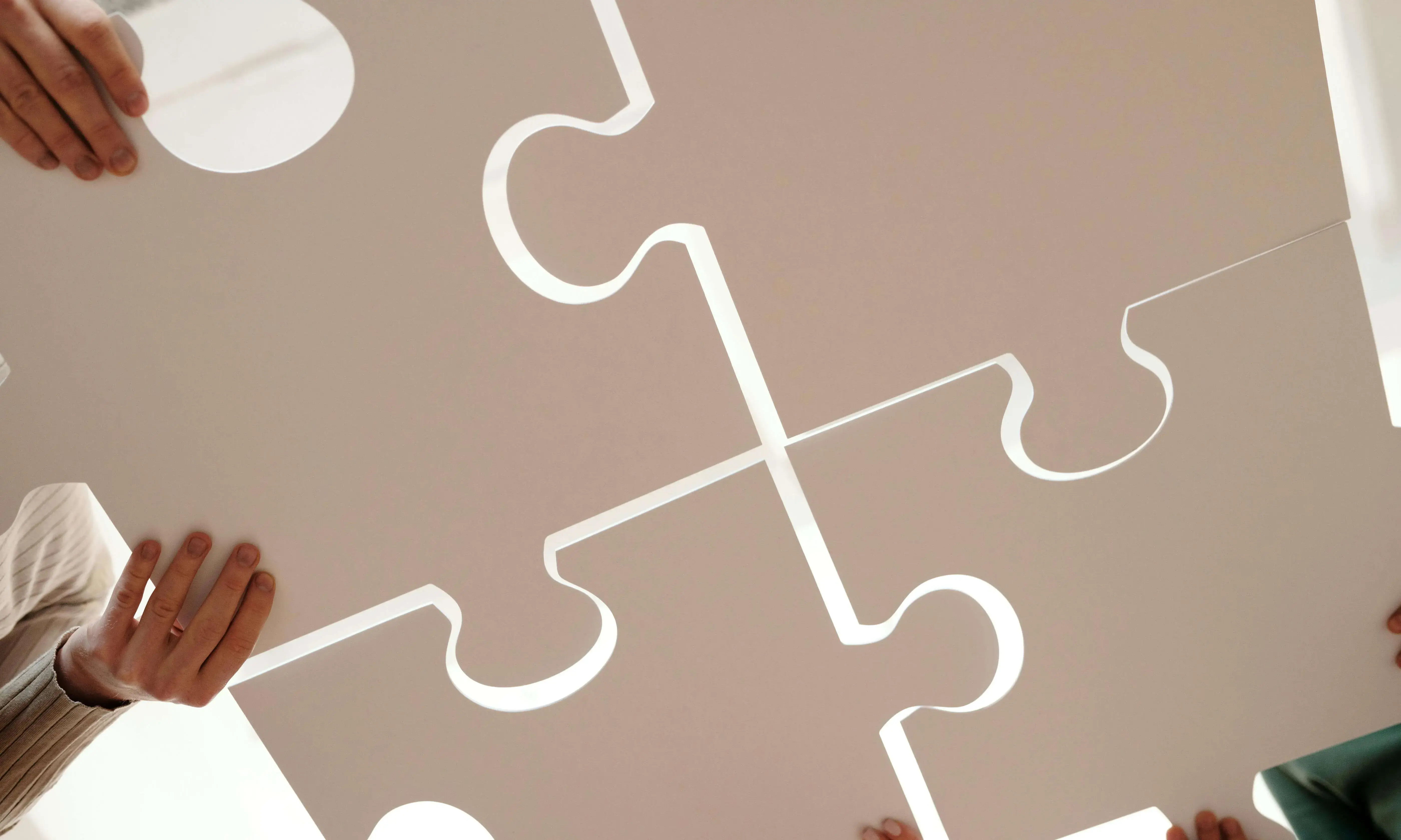 Puzzle gran en blanc fet per dues persones
