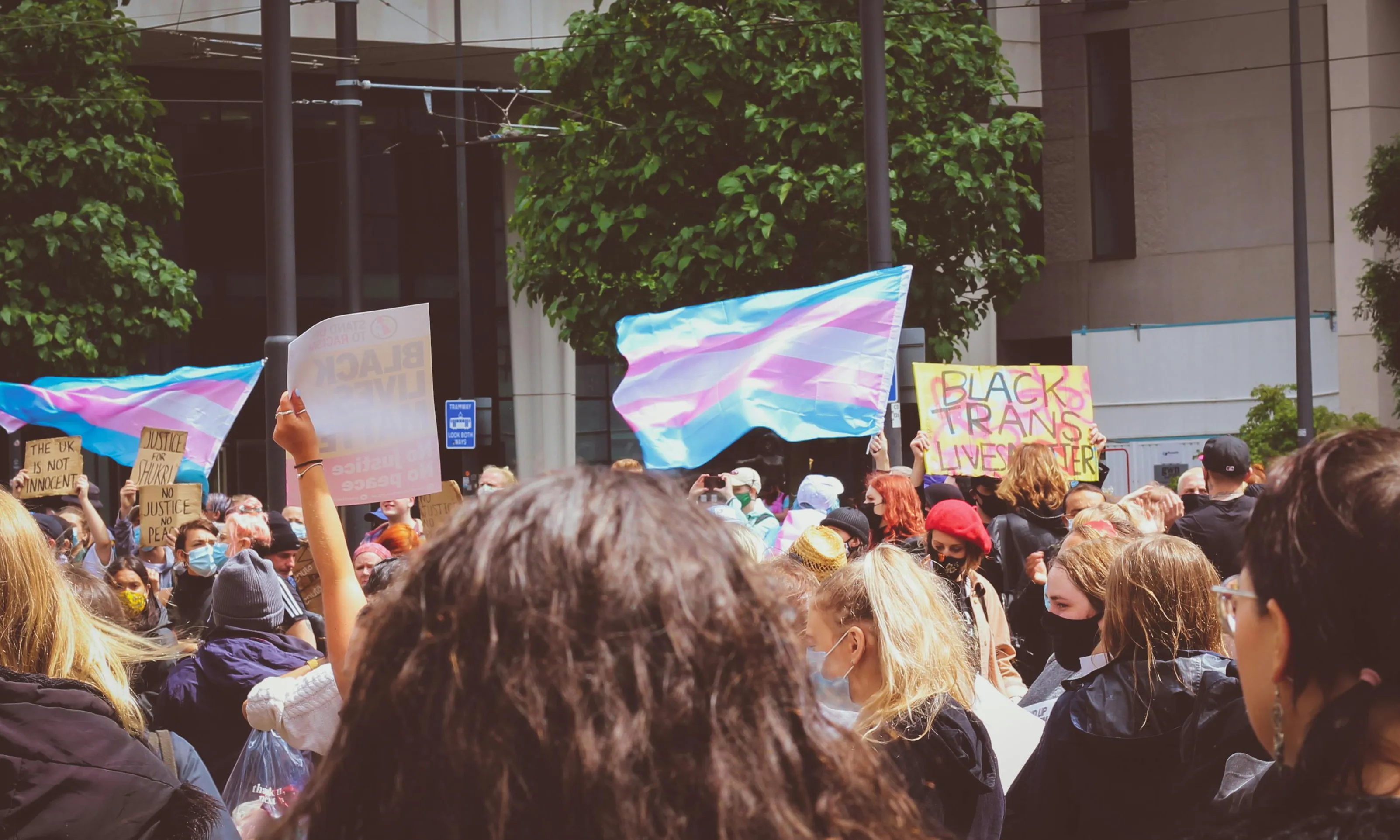 Moltes entitats del col·lectiu LGBTIQ+ del territori celebren aquest mes de març el Dia Internacional de la Visibilitat Trans. Font: Pexels