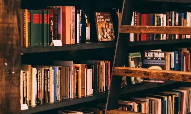 Prestatge amb llibres Prestatge amb llibres