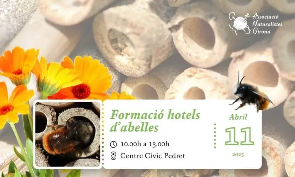 Cartell de la formació ‘Hotels d’abelles’