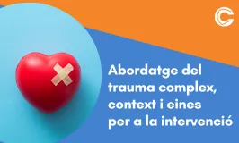 CURS EN LÍNIA: Abordatge del trauma complex, context i eines per a la intervenció 