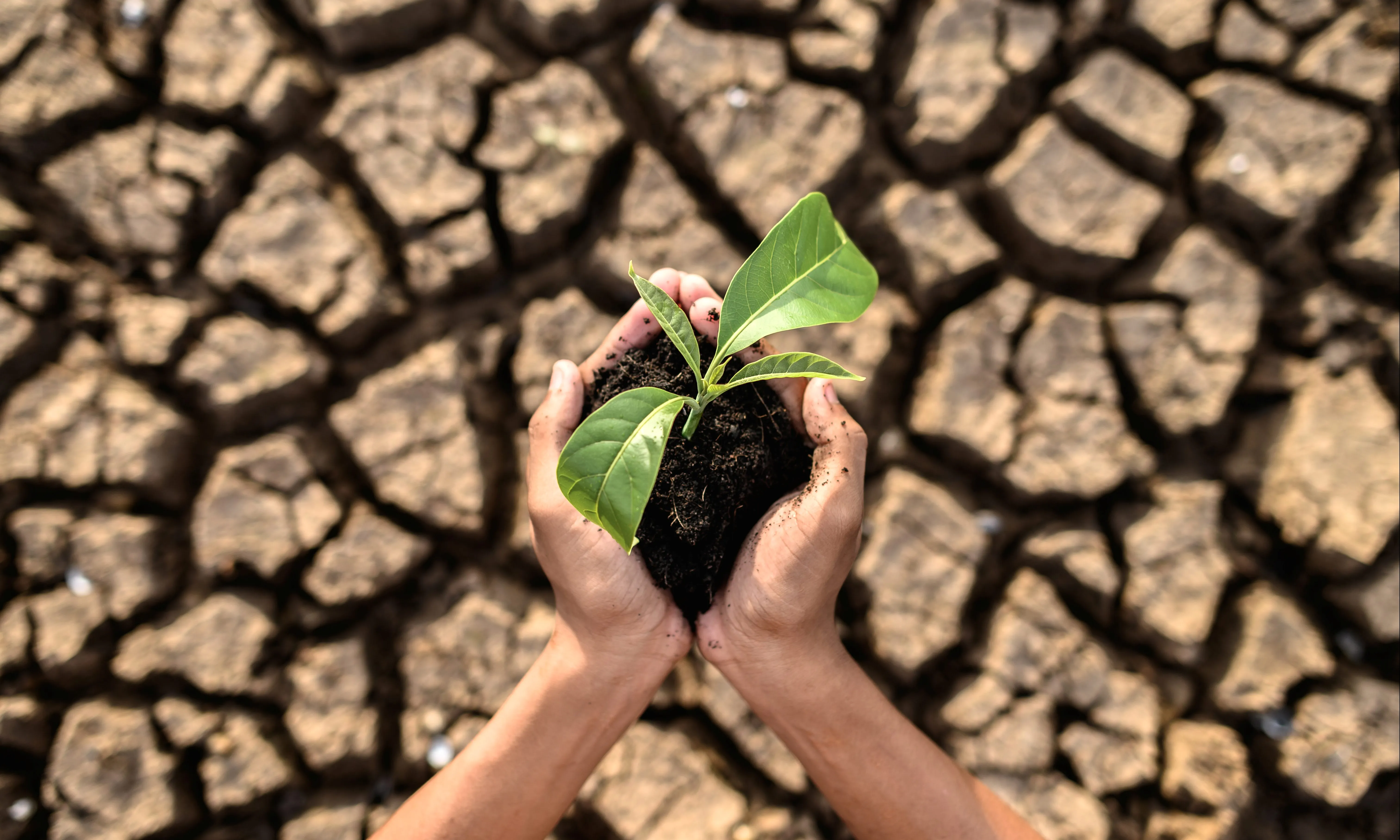 L’ONU ha traçat un full de ruta amb cinc canvis profunds per salvar el planeta del col·lapse.