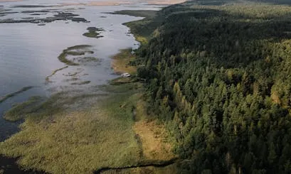 Desembocadura riu Paisatge natural amb un riu i la seva desembocadura al mar