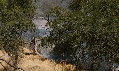 Incendi forestal Bombers en un incendi forestal