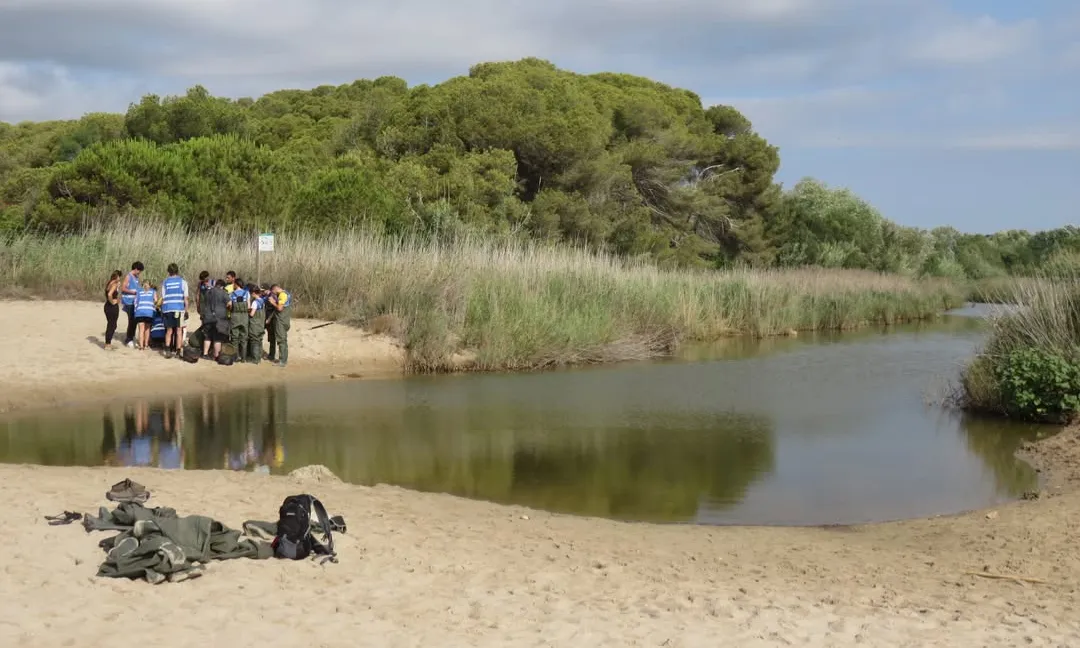 El voluntariat ambiental a Catalunya és un pilar essencial de la implicació de la societat en la cura i conservació del patrimoni natural del nostre pais.