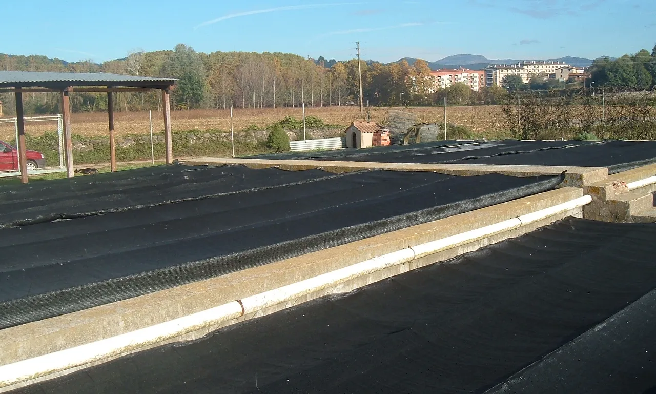 Nucli reproductor de cranc de riu al Molí de les Fonts a Olot