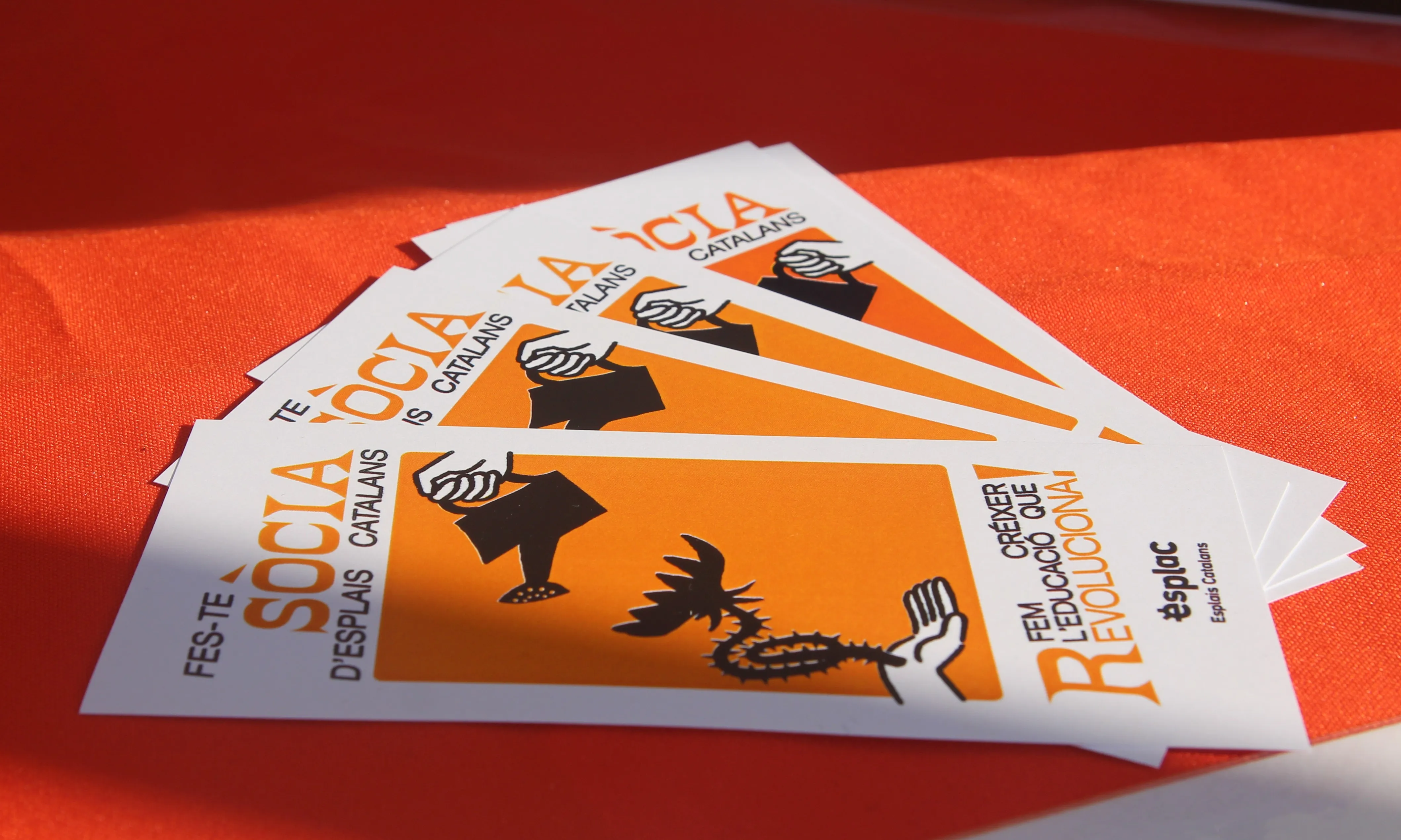 Tríptics promocionals de la campanya