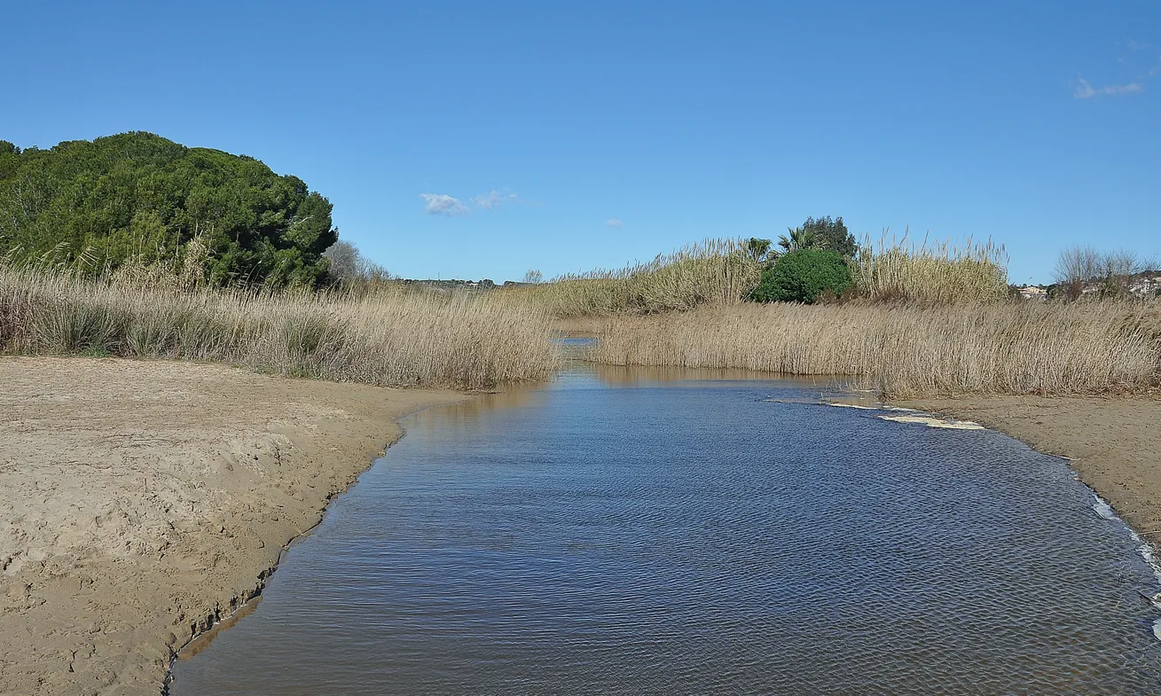 El camp de treball del Gaià impulsa el treball col·lectiu per a la conservació del riu Gaià i el seu entorn natural.